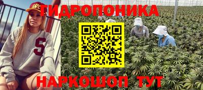 a pvp Изобильный