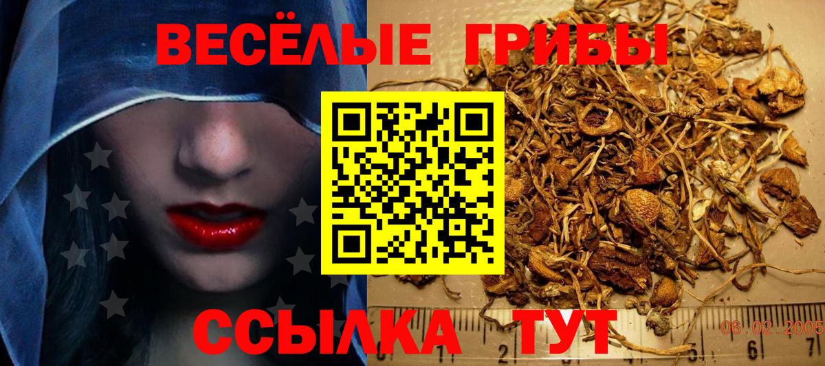 Галлюциногенные грибы GOLDEN TEACHER Ленинск-Кузнецкий