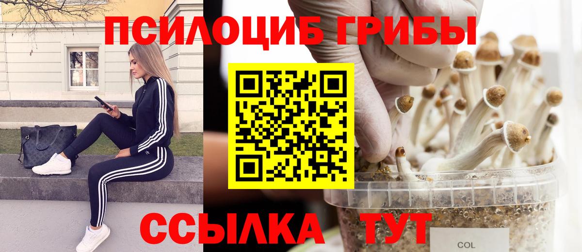 купить   Псилоцибиновые грибы мухоморы  Вход с VPN  Галлюциногенные грибы мухоморы  Ленинск-Кузнецкий 