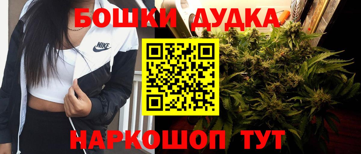 Каннабис сатива Ленинск-Кузнецкий